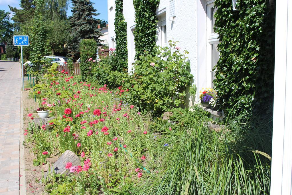Baltisches Haus Pension Moll ซินโนวิทซ์ ภายนอก รูปภาพ